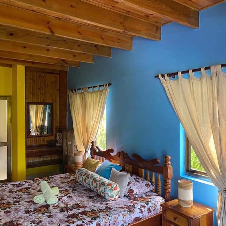 Linsen Selfcatering Apartments La Digue  Extérieur photo